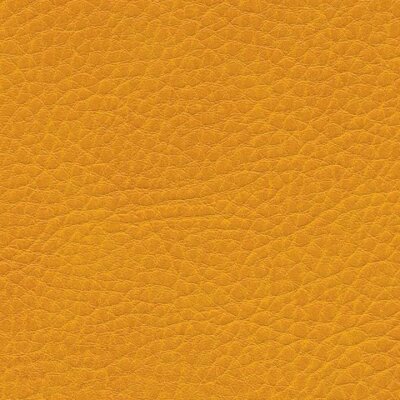 0636 - mango