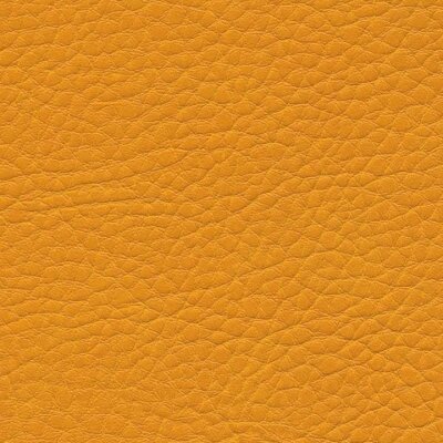 0958 - mango