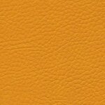 0958 - mango