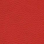 0657 - flame