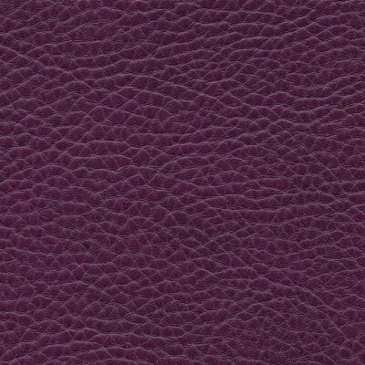 1180 - cyclam