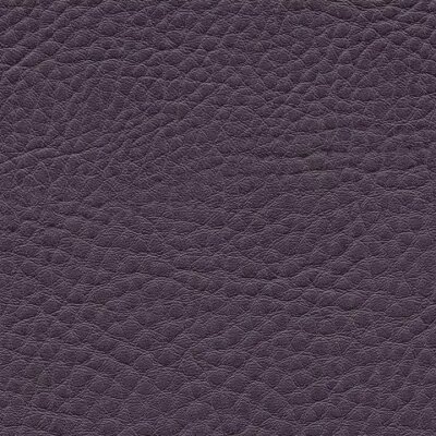 1171 - purple