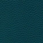 1181 - petrol
