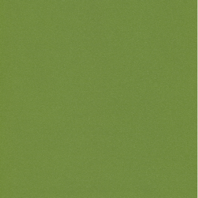 3077 - kaktus