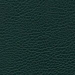 0763 - forest