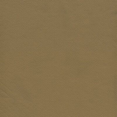 1160 - desert
