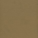 1160 - desert