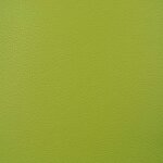 0013 - lime