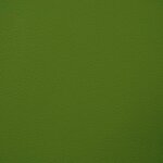 0014 - olive