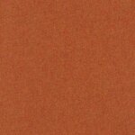 29 - apricot
