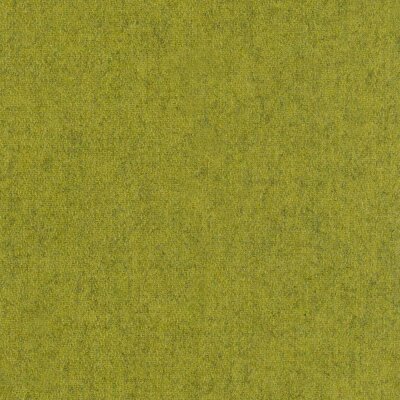 08 - kiwi