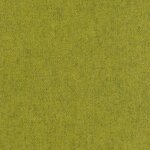 08 - kiwi