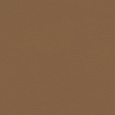 2769 - safari