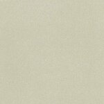 106 - platin