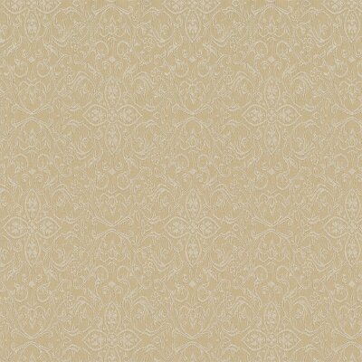 335 - champagne