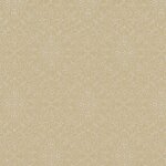 335 - champagne