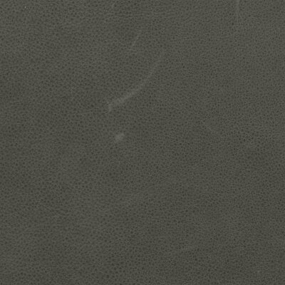 Arizona Serie 1261 - elefant