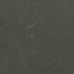 Arizona Serie 1261 - elefant