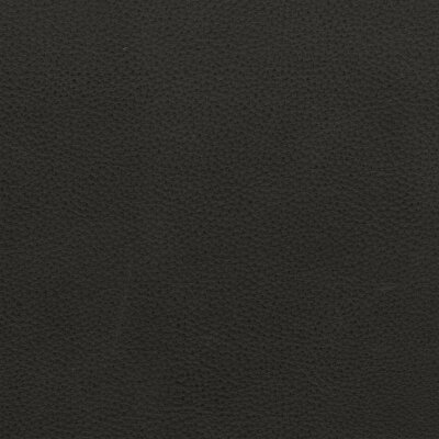 Arizona Serie 2066 - pine/matt