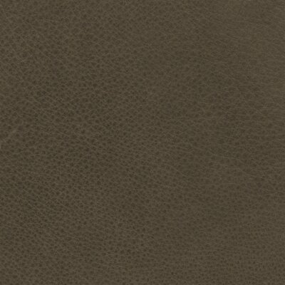 Arizona Serie 2138 - schors