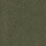 Arizona Serie 7372 - oliv