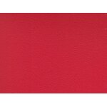 fire F6471095