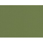 olive green F6471104