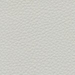 ashgrey F6471011