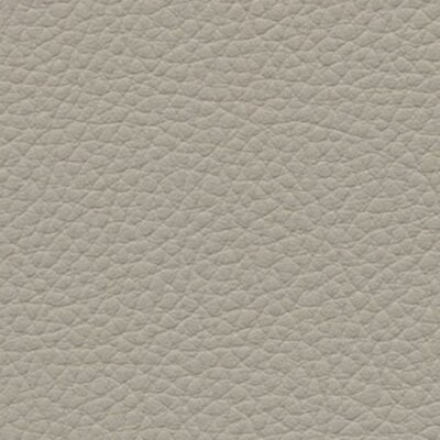 birch F6471004