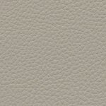 birch F6471004