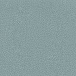 sage F6471024