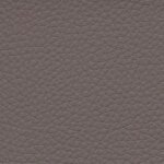 carob F6471009