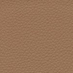 cappuccino F6471005