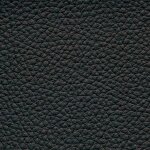 black F6471016