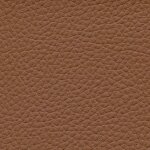 chestnut F6471007