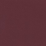 merlot F6471074