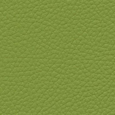 olive green F6471014