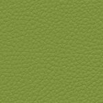 olive green F6471014