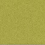 lime F6471019