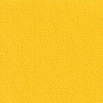 sun F6471023