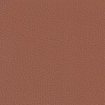 toffee F6471077