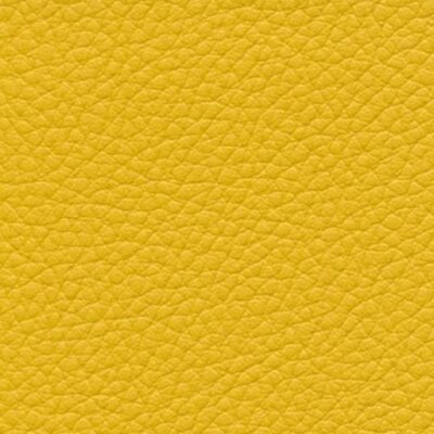 corn F6471013