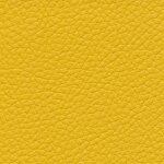 corn F6471013