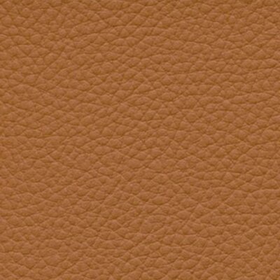 cashmere F6471006