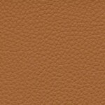 cashmere F6471006