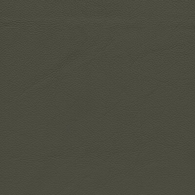 7080 - elefant