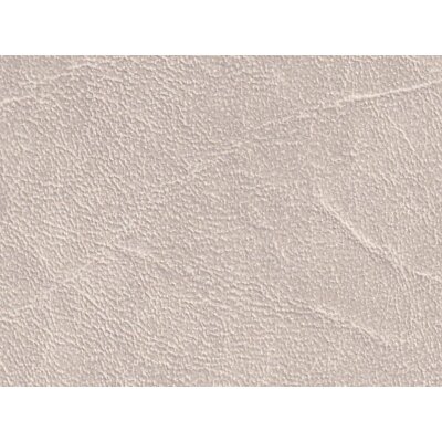 K5401 bone