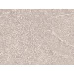 K5401 bone