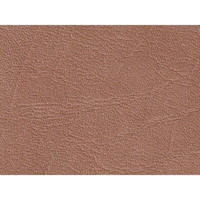 K5403 camel