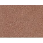 K5403 camel